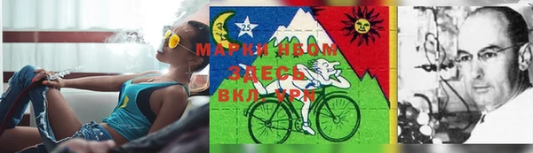 молекула духа Горняк