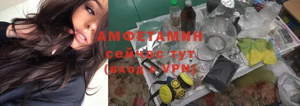 молекула духа Горняк