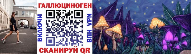 Купить где  Касимов  Галлюциногенные грибы MAGIC MUSHROOMS 